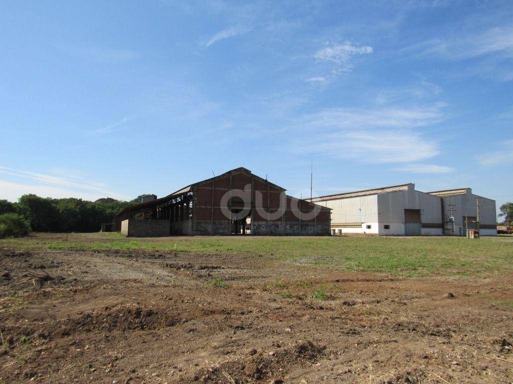 Depósito-Galpão-Armazém para alugar, 10000m² - Foto 4