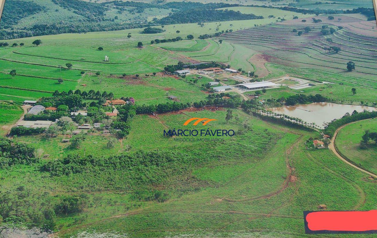 Fazenda, 155 hectares - Foto 4