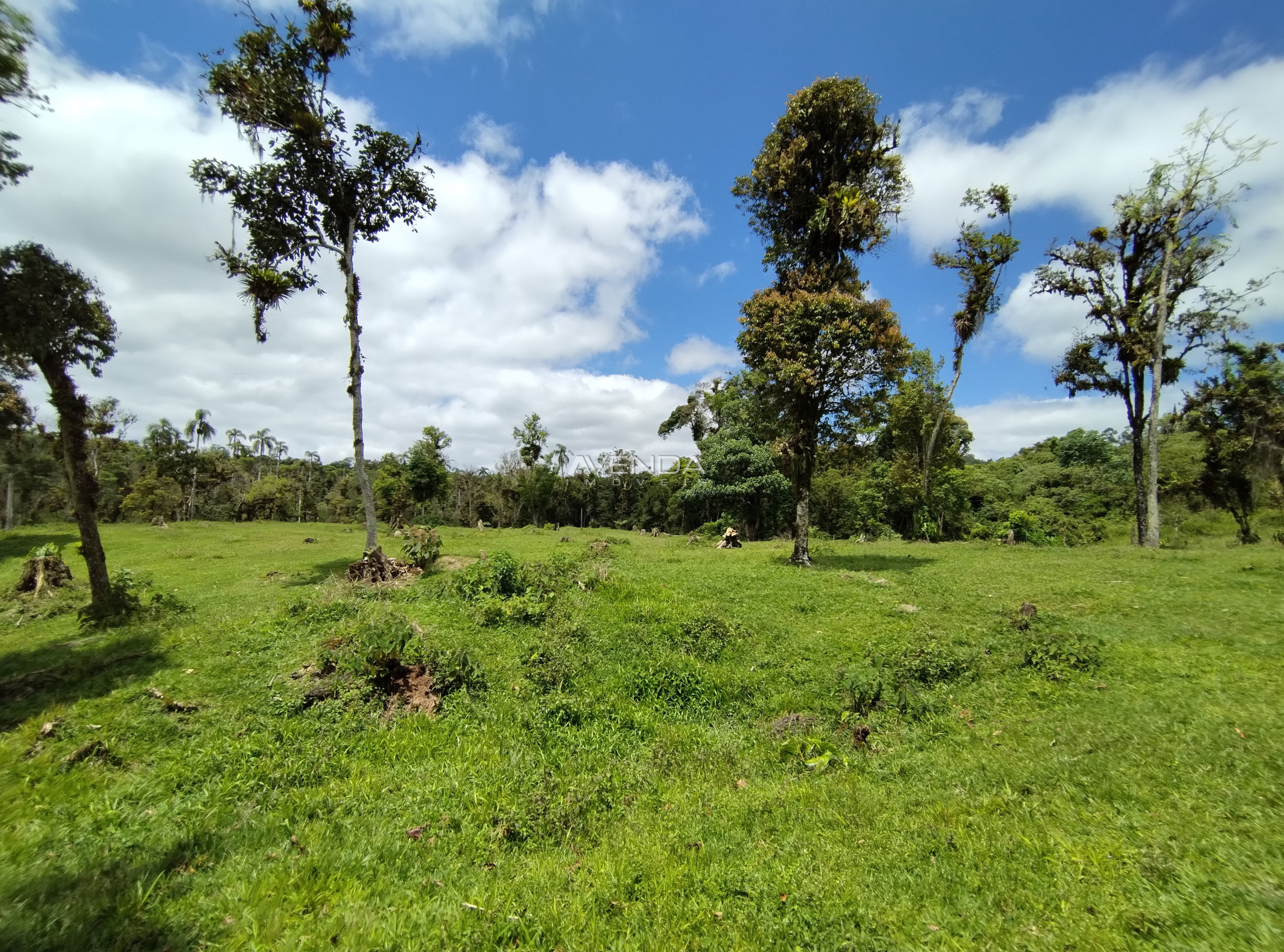 Fazenda à venda com 6 quartos, 208036m² - Foto 11