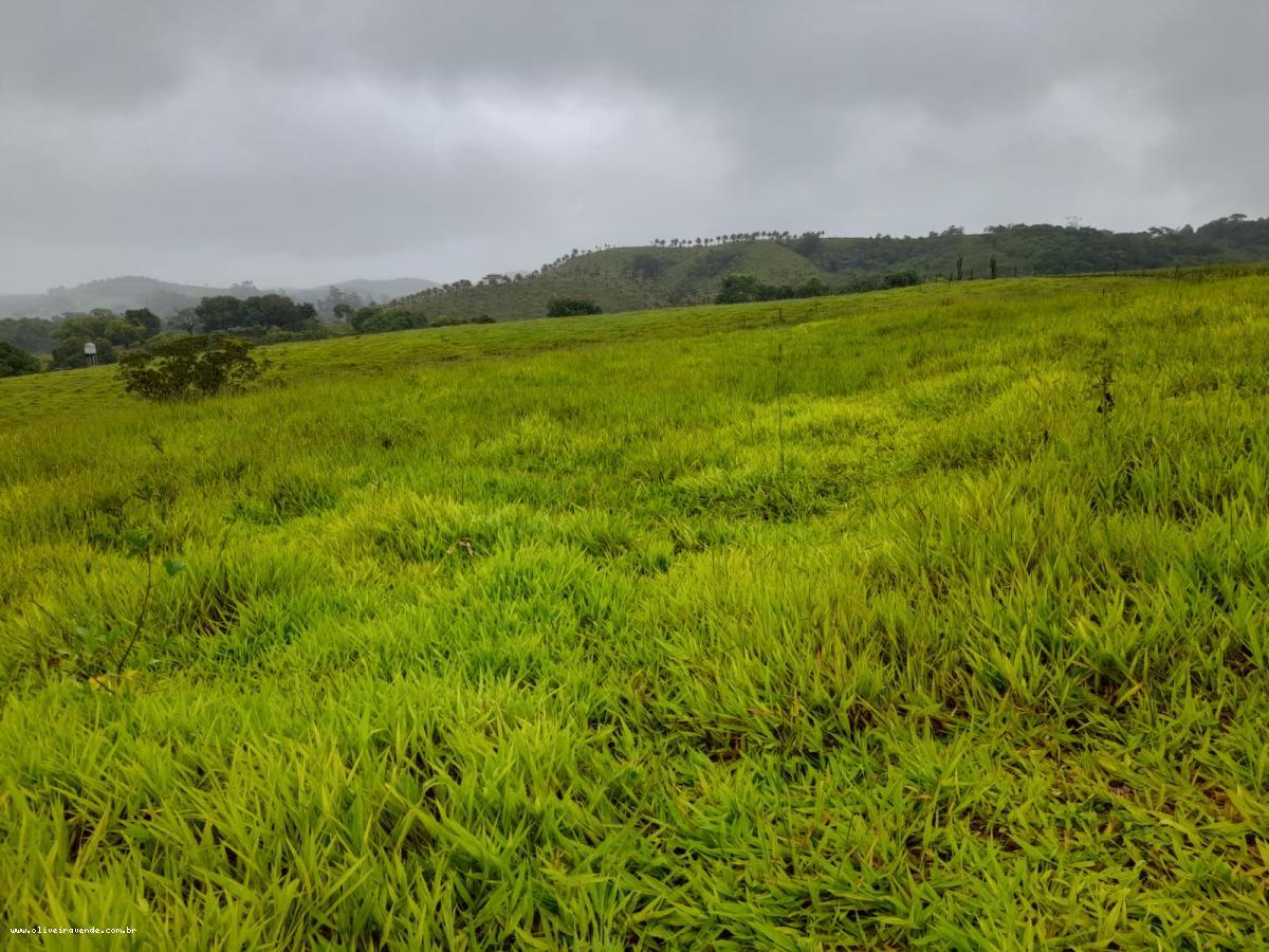 Fazenda à venda com 2 quartos, 61000m² - Foto 25