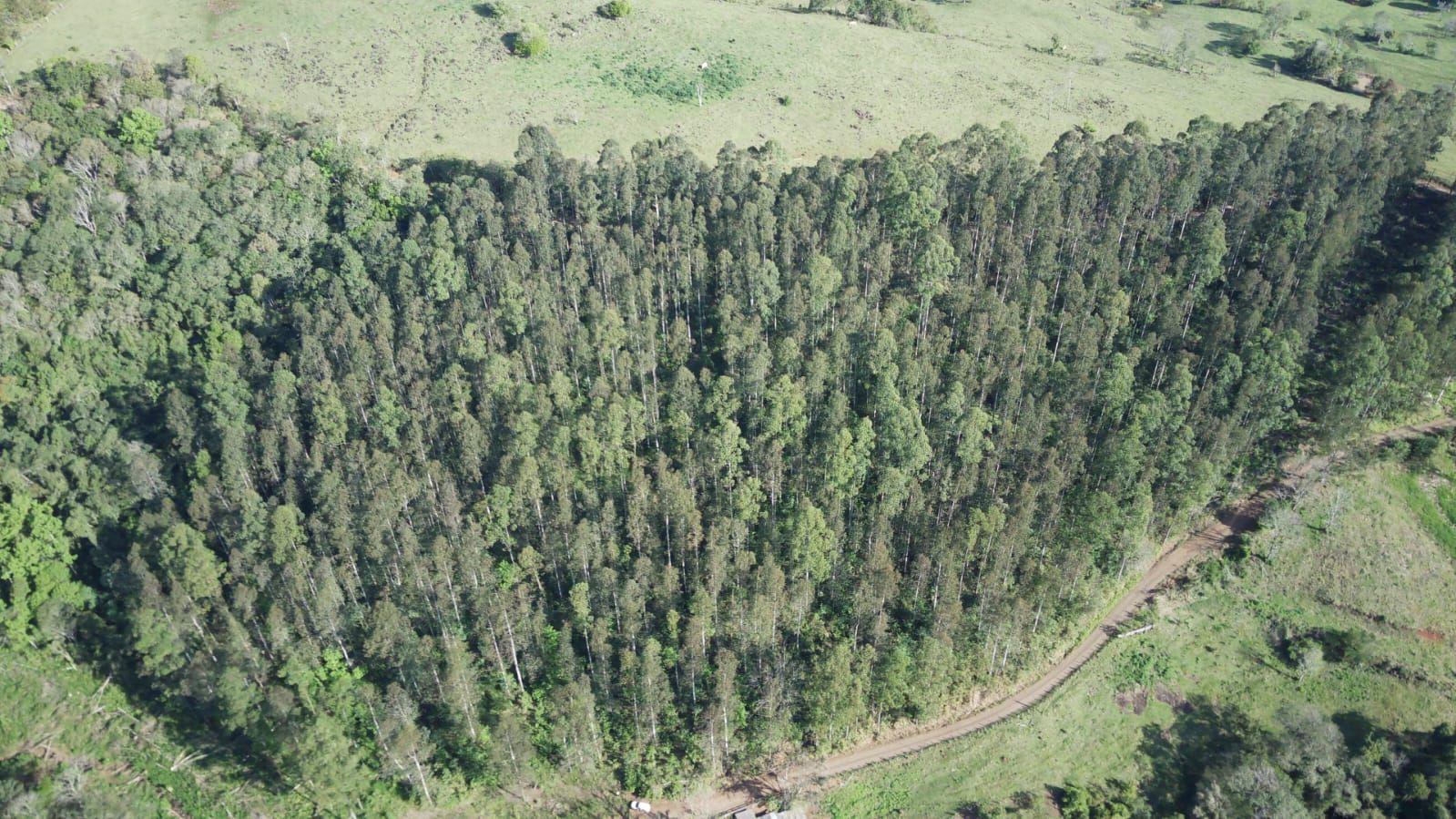 Terreno à venda, 40000m² - Foto 1