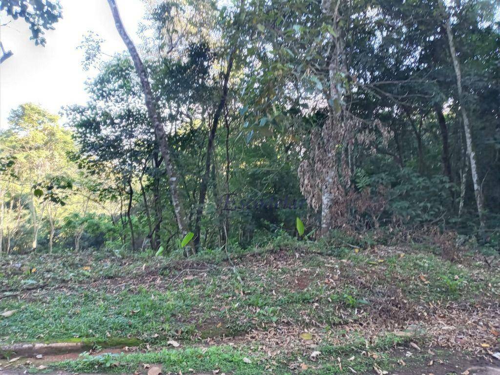 Terreno à venda, 250M2 - Foto 7