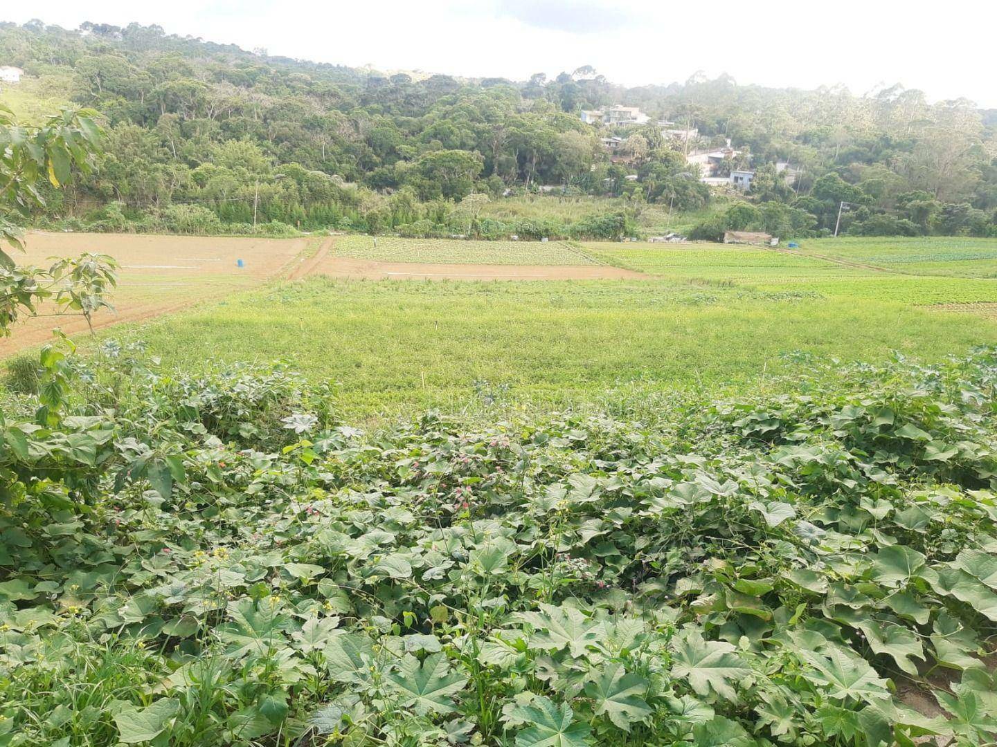 Terreno à venda, 86000M2 - Foto 2