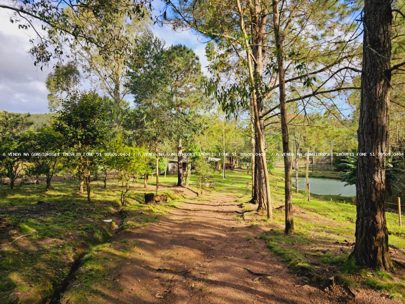 Sítio à venda, 30000m² - Foto 19