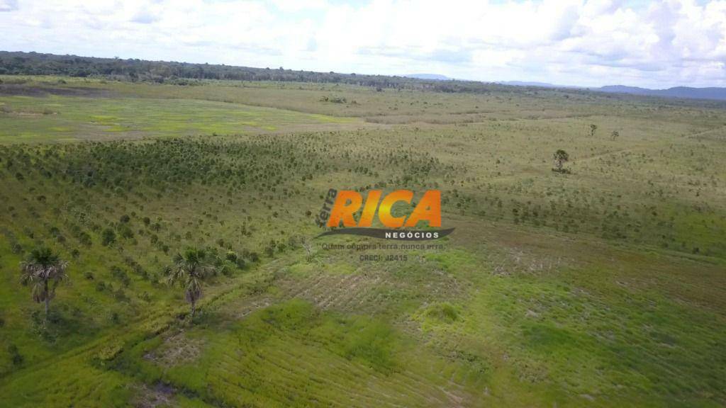 Fazenda à venda com 2 quartos, 8300000M2 - Foto 6