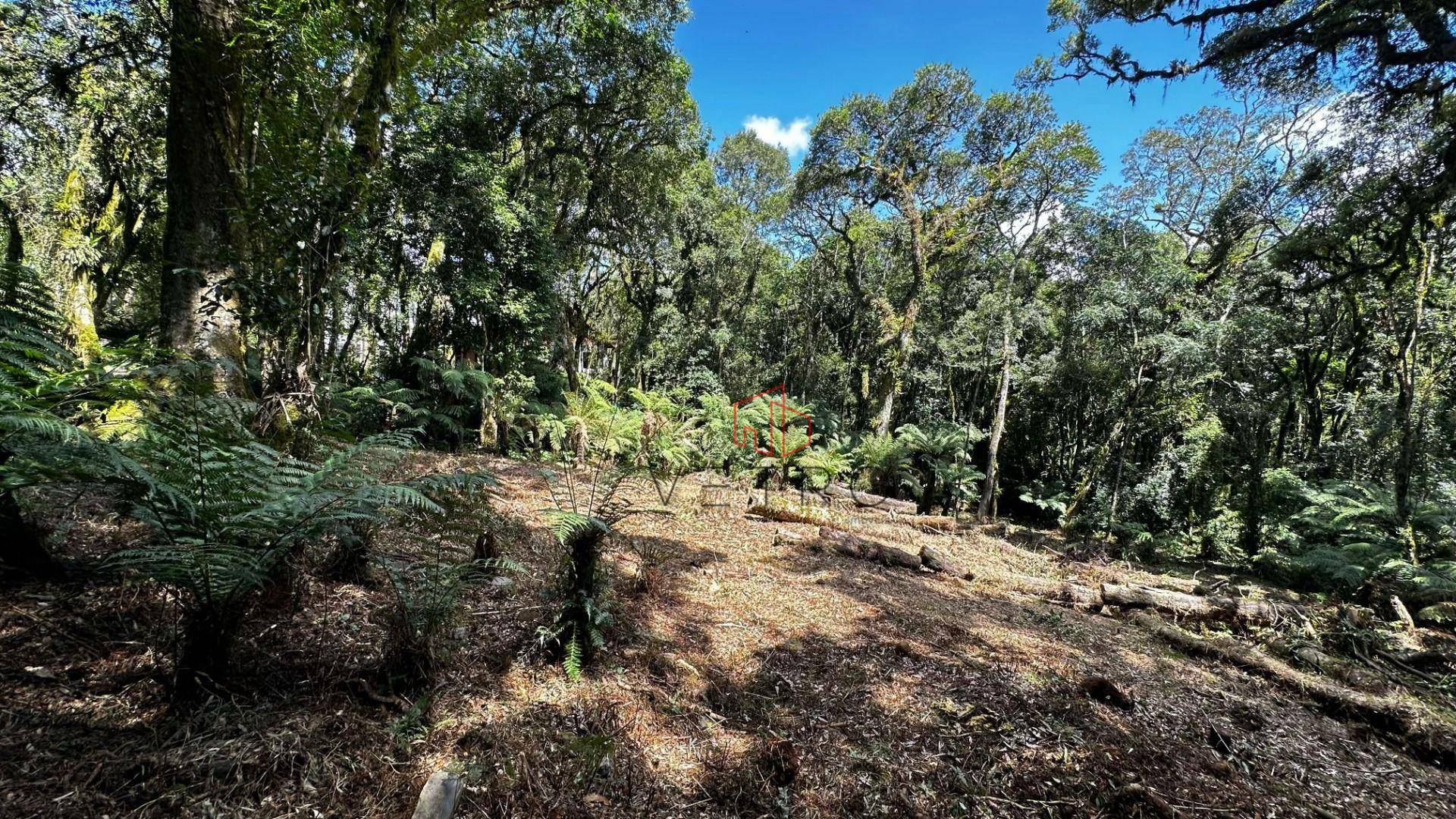 Loteamento e Condomínio à venda, 1096M2 - Foto 3