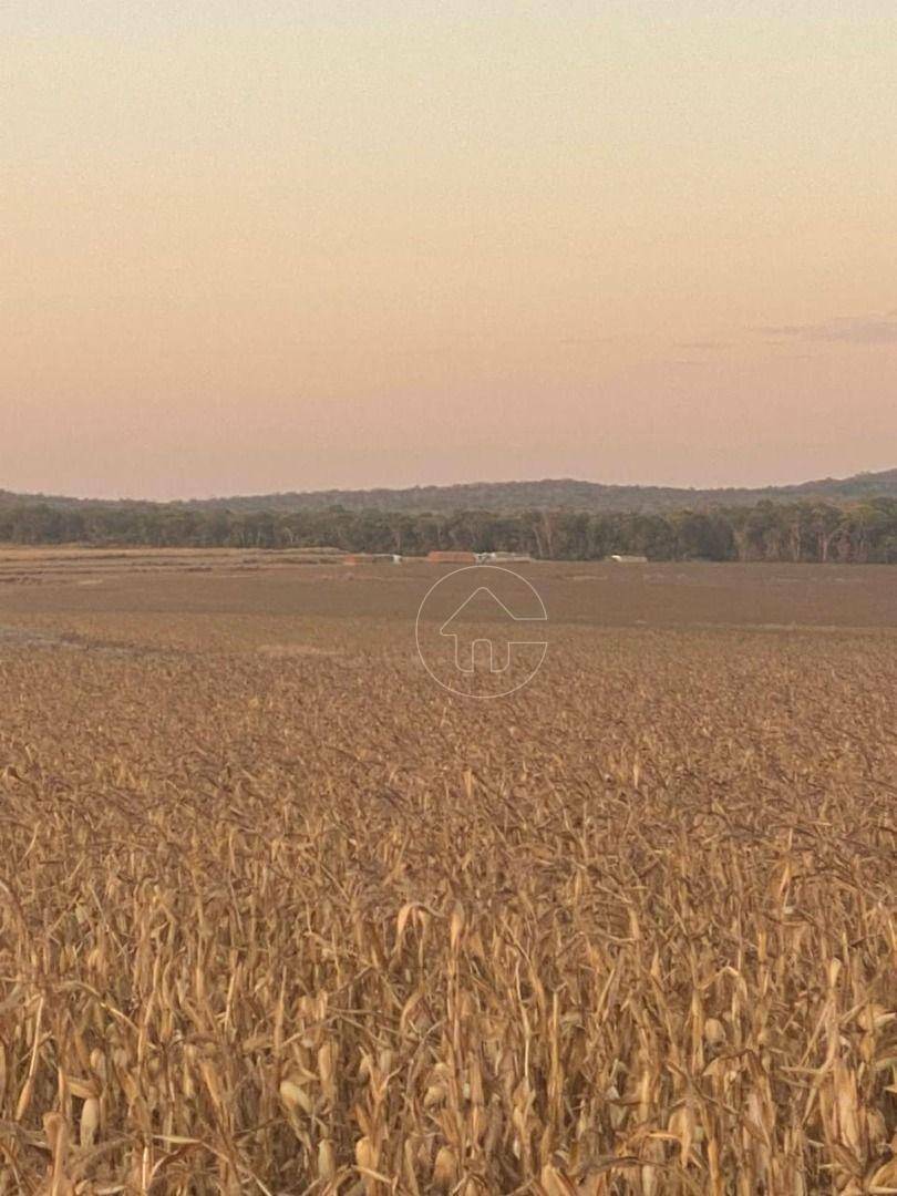 Fazenda à venda, 64000000M2 - Foto 5