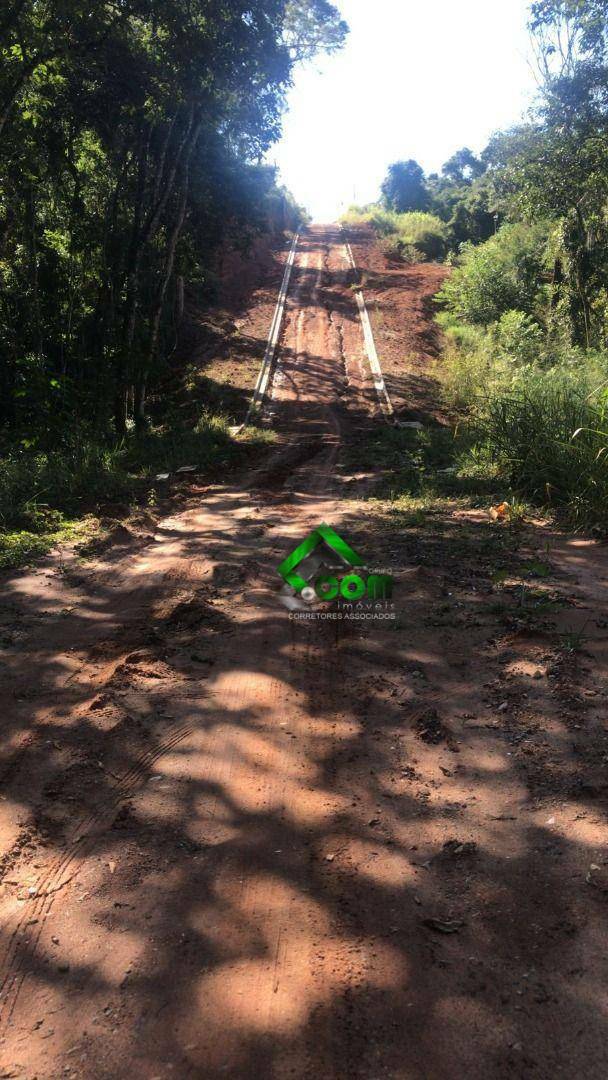 Terreno à venda, 1000M2 - Foto 3