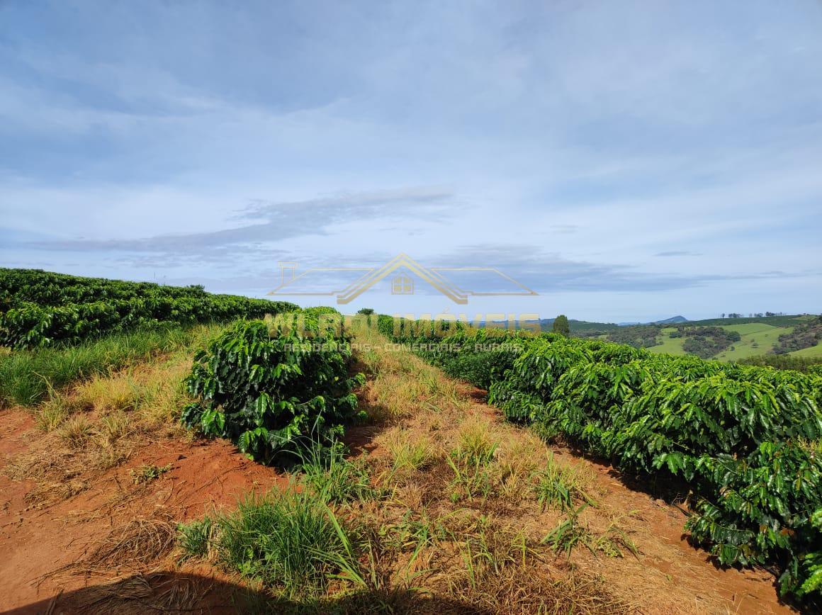 Fazenda à venda, 300m² - Foto 13