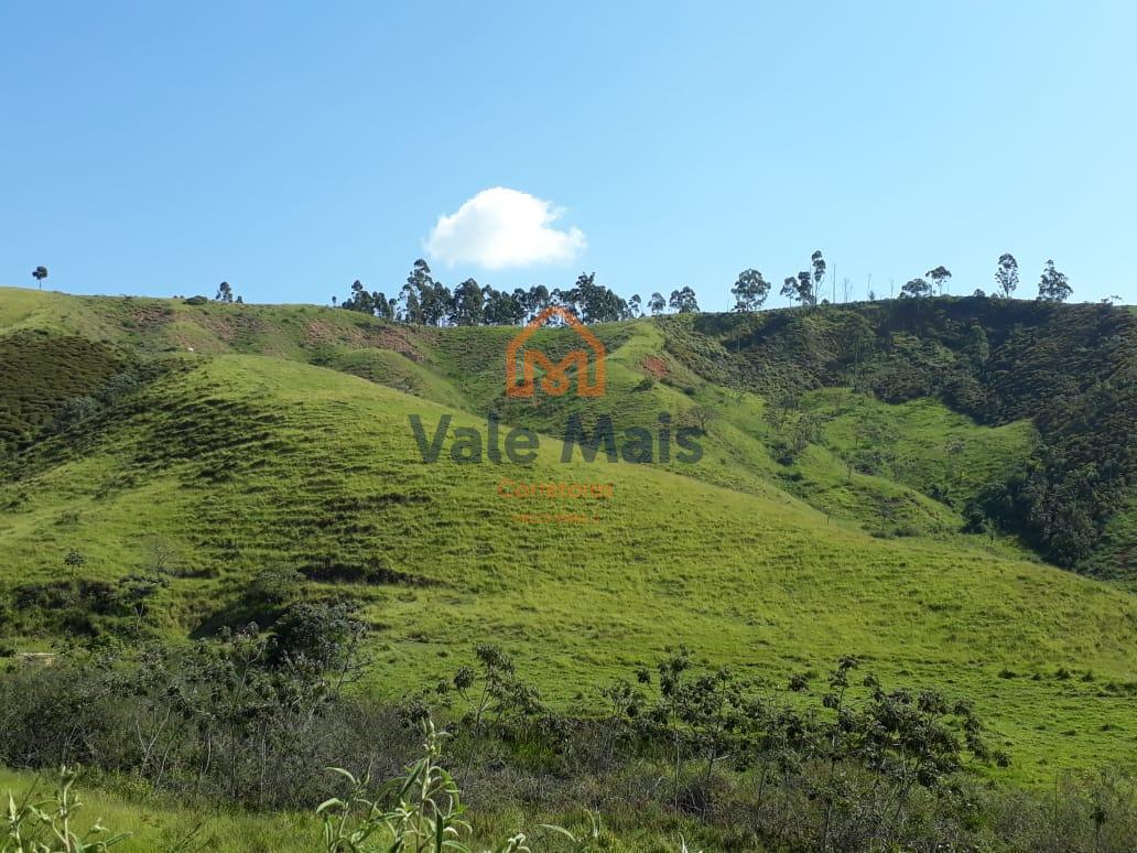 Fazenda à venda com 2 quartos, 1214658m² - Foto 6