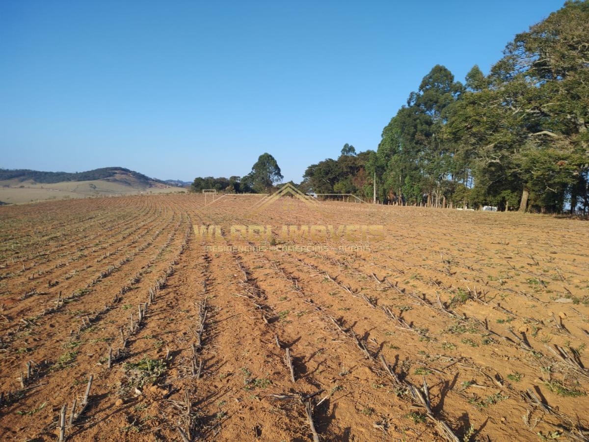 Fazenda à venda, 4m² - Foto 8