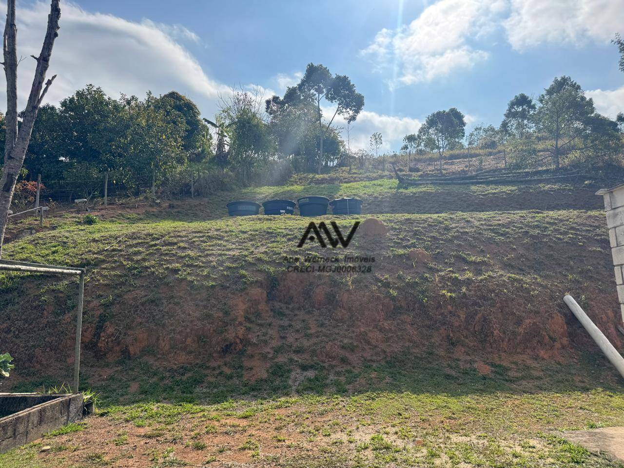 Sítio, 4 quartos, 2464 m² - Foto 4