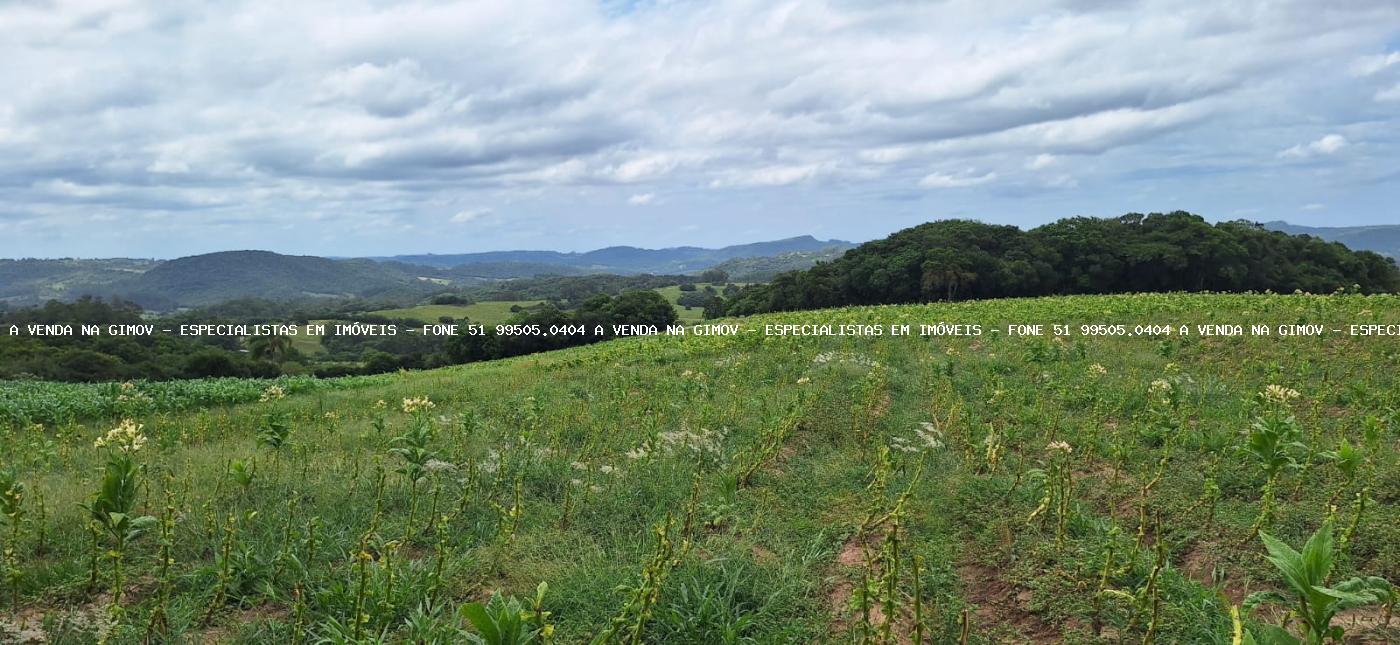 Loteamento e Condomínio à venda, 120000m² - Foto 9