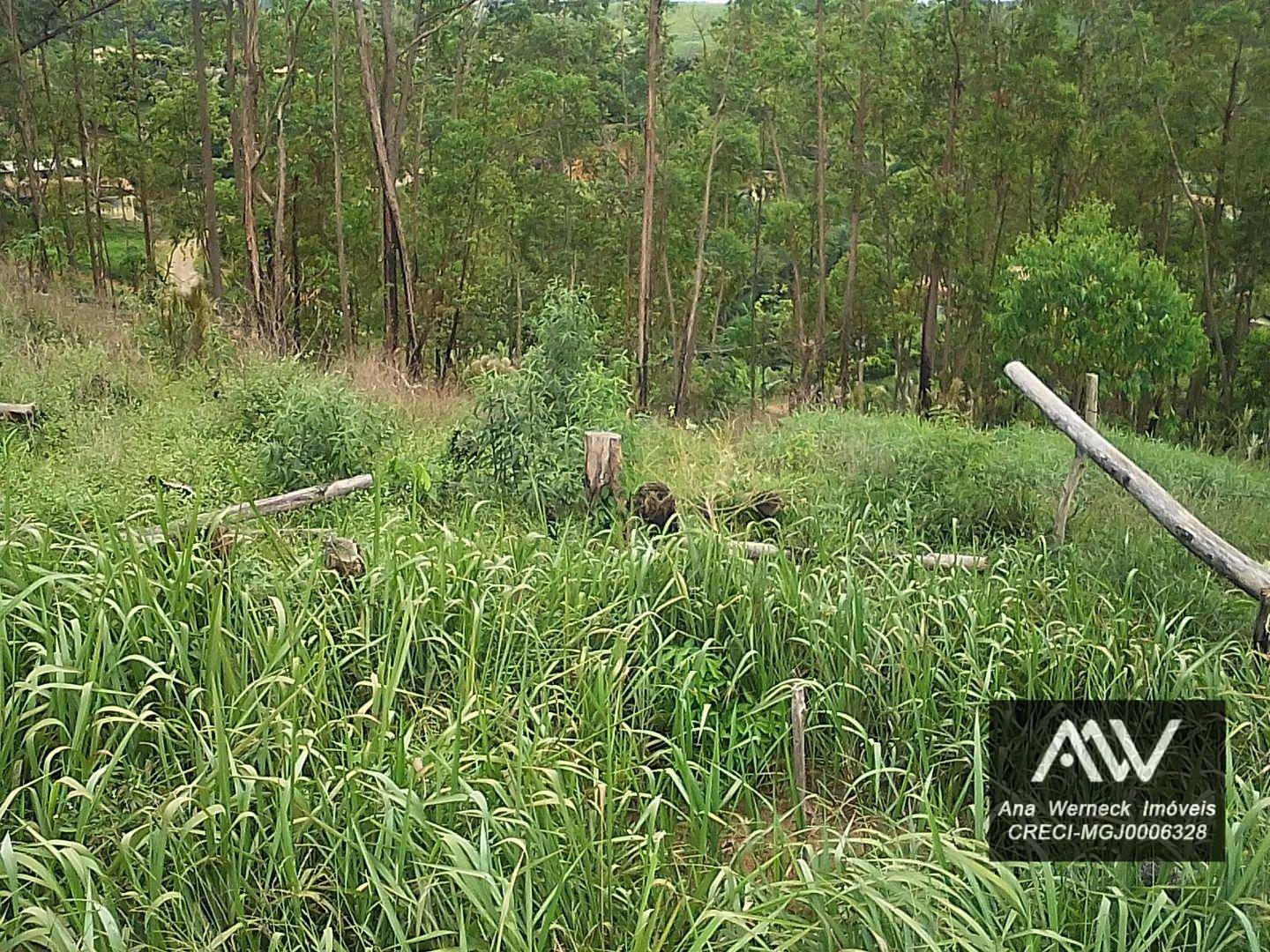 Terreno à venda, 1000M2 - Foto 6