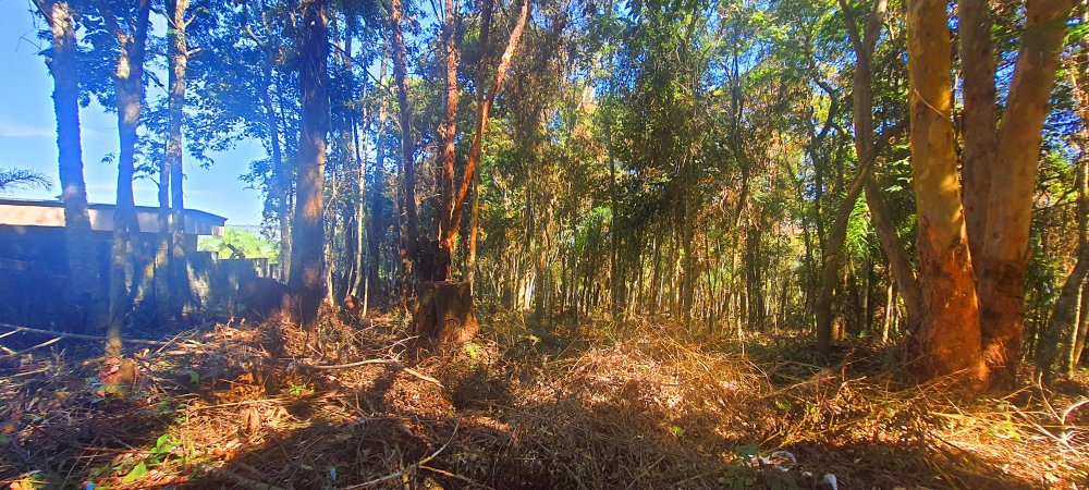 Terreno à venda, 866m² - Foto 30