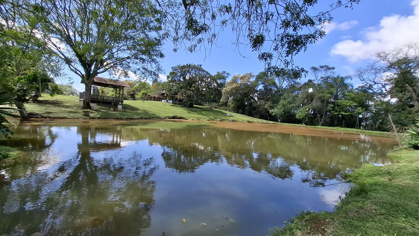 Fazenda à venda com 4 quartos, 950000m² - Foto 17