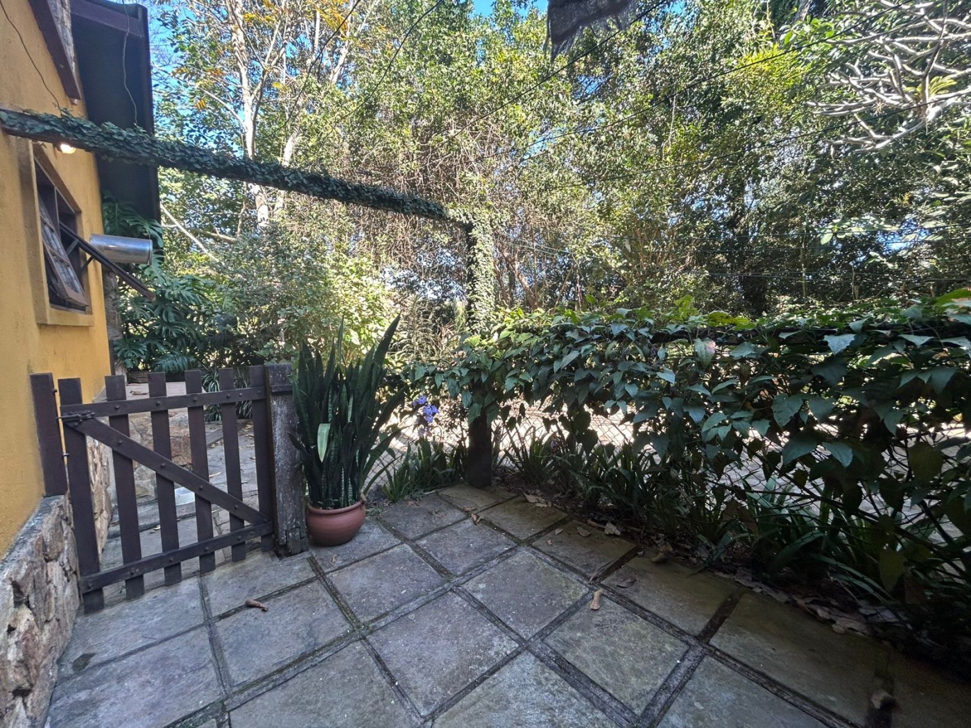 Casa para alugar com 4 quartos, 300m² - Foto 22