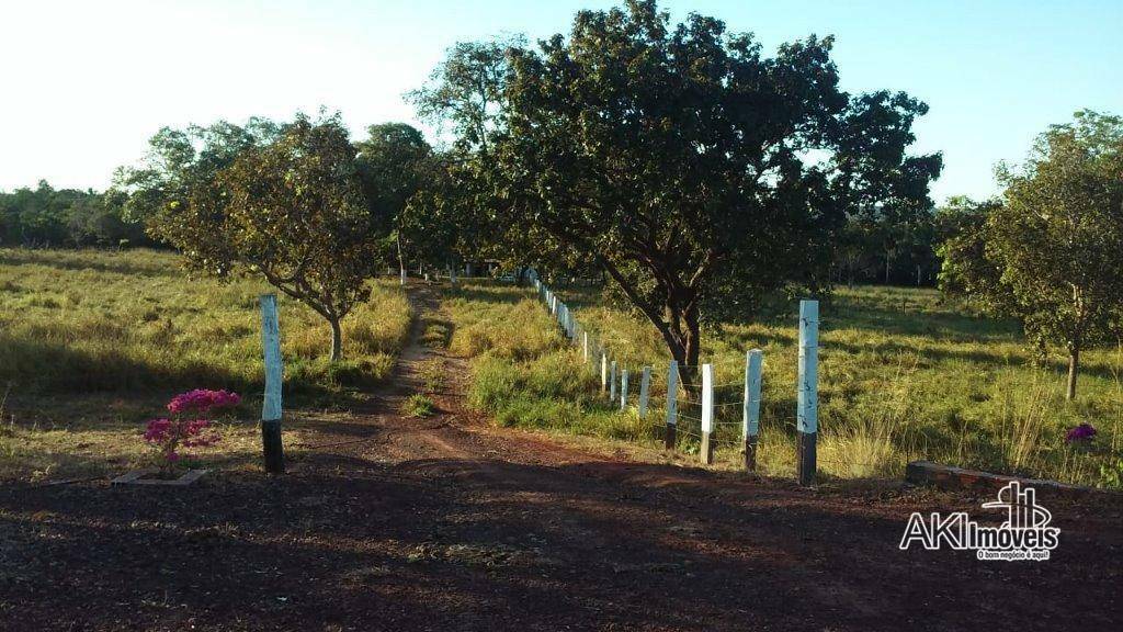 Fazenda à venda com 2 quartos, 4500000M2 - Foto 19