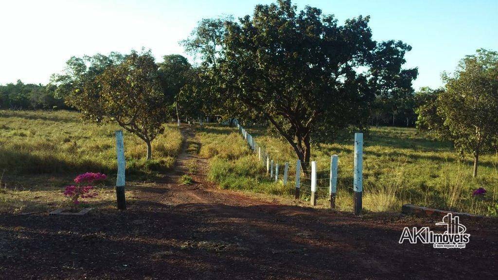 Fazenda à venda com 2 quartos, 4500000M2 - Foto 21