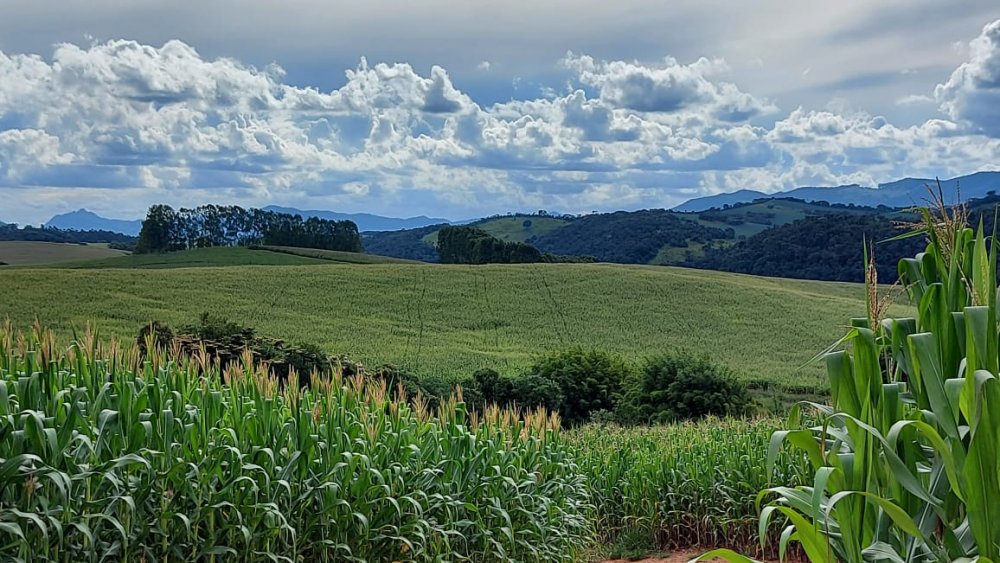 Fazenda à venda, 178m² - Foto 6