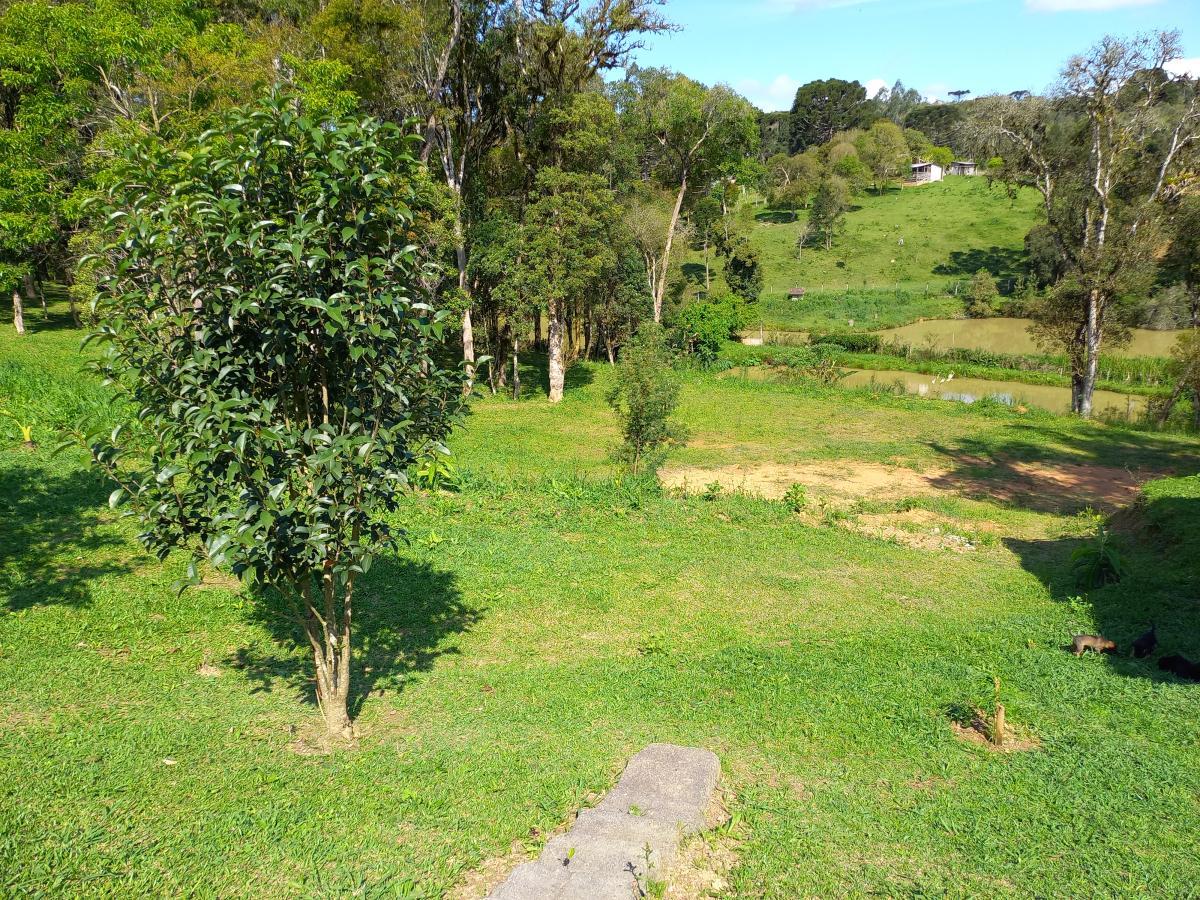 Chácara à venda, 9075m² - Foto 14