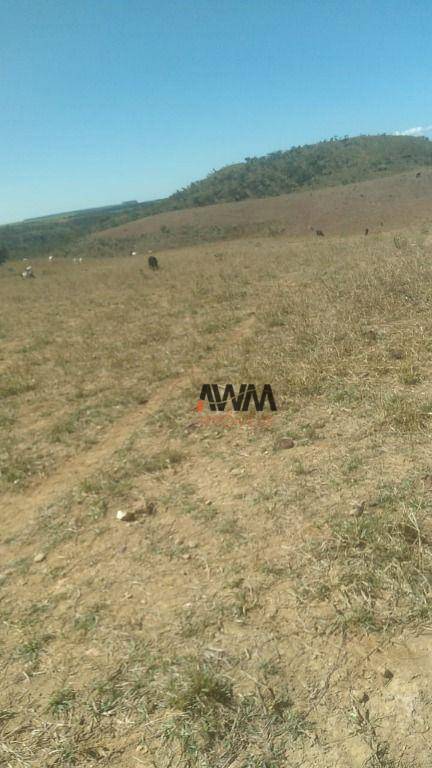 Fazenda-Sítio-Chácara, 454 hectares - Foto 5